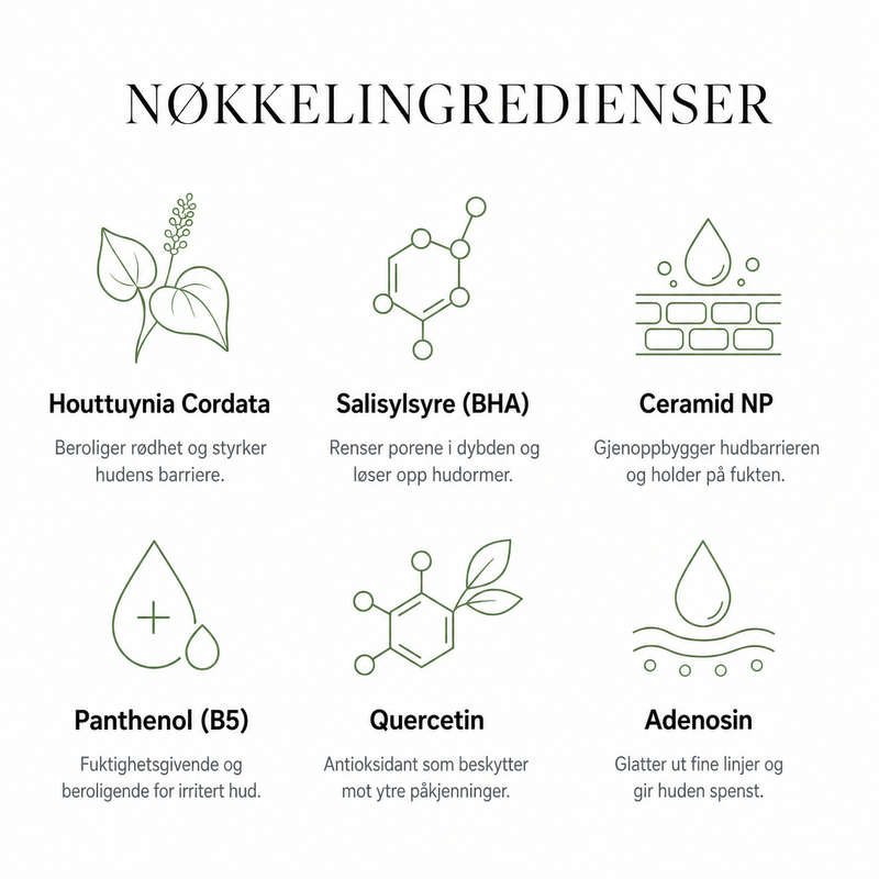 Komplett hudpleierutine i fire steg med Houttuynia Cordata