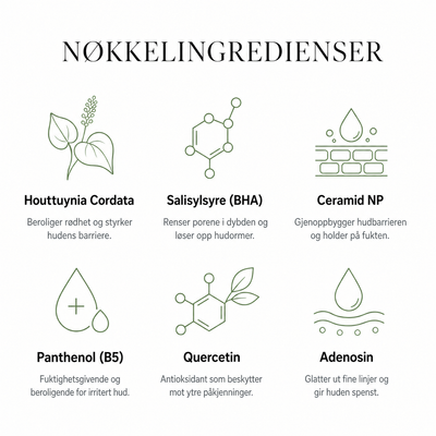 Komplett hudpleierutine i fire steg med Houttuynia Cordata