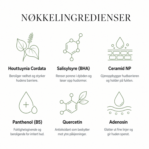Heartleaf Komplett Hudpleierutine, 4 steg til roligere hud
