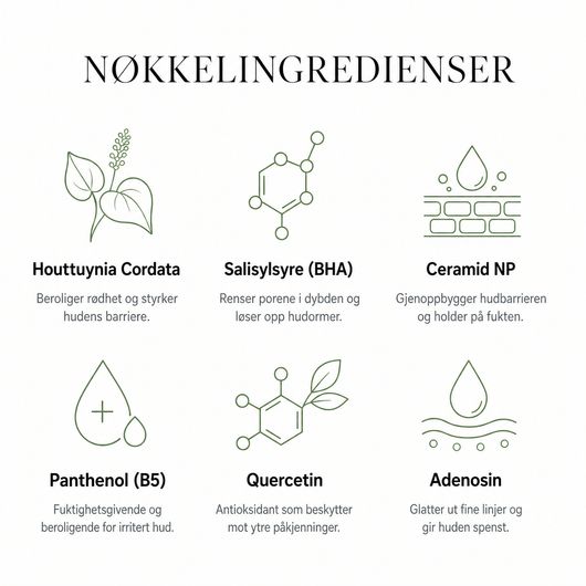Komplett hudpleierutine i fire steg med Houttuynia Cordata