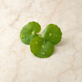 Niacinamid og centella